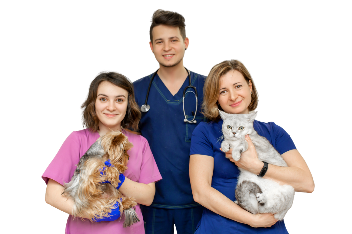 Veterinary marketing strategy